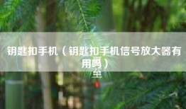 钥匙扣手机（钥匙扣手机信号放大器有用吗）