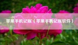 苹果手机记账（苹果手机记账软件）