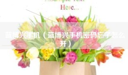 蓝博兴手机（蓝博兴手机密码忘了怎么开）