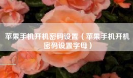 苹果手机开机密码设置（苹果手机开机密码设置字母）