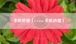 手机折叠（v i v o 手机折叠）