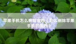 苹果手机怎么删除东西（怎么删除苹果手机的东西）