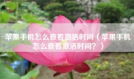 苹果手机怎么查看激活时间（苹果手机怎么查看激活时间？）
