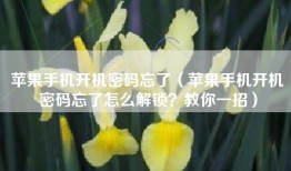 苹果手机开机密码忘了（苹果手机开机密码忘了怎么解锁？教你一招）