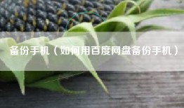 备份手机（如何用百度网盘备份手机）