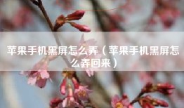 苹果手机黑屏怎么弄（苹果手机黑屏怎么弄回来）