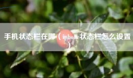 手机状态栏在哪（iphone状态栏怎么设置）