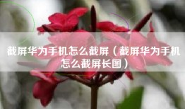 截屏华为手机怎么截屏（截屏华为手机怎么截屏长图）