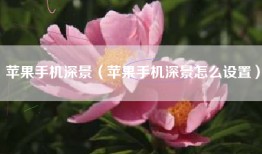 苹果手机深景（苹果手机深景怎么设置）