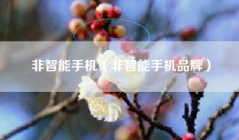 非智能手机（非智能手机品牌）