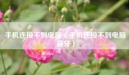 手机连接不到电脑（手机连接不到电脑蓝牙）