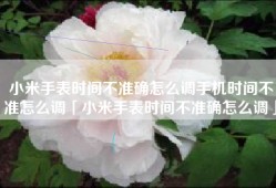小米手表时间不准确怎么调手机时间不准怎么调「小米手表时间不准确怎么调」