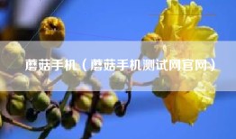 蘑菇手机（蘑菇手机测试网官网）