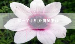 换一个手机外屏多少钱