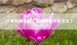 合理利用手机（合理利用手机作文）