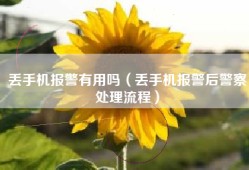 丢手机报警有用吗（丢手机报警后警察处理流程）