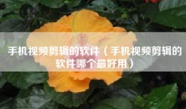 手机视频剪辑的软件（手机视频剪辑的软件哪个最好用）