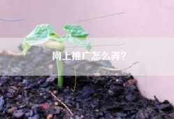 网上推广怎么弄？