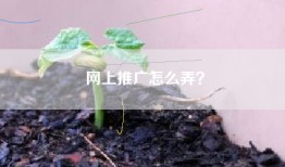 网上推广怎么弄？