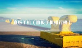 直版手机（直板手机排行榜）