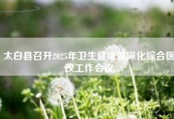 太白县召开2025年卫生健康暨深化综合医改工作会议