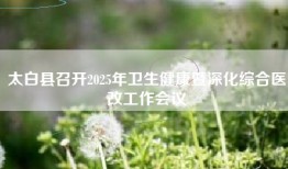 太白县召开2025年卫生健康暨深化综合医改工作会议