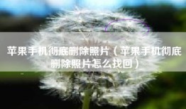 苹果手机彻底删除照片（苹果手机彻底删除照片怎么找回）