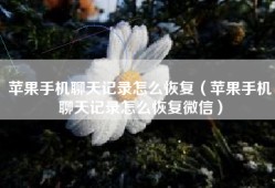 苹果手机聊天记录怎么恢复（苹果手机聊天记录怎么恢复微信）