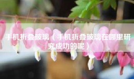 手机折叠玻璃（手机折叠玻璃在哪里研究成功的呢）