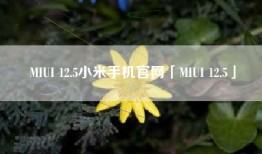 MIUI 12.5小米手机官网「MIUI 12.5」
