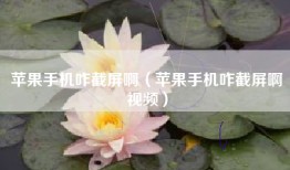 苹果手机咋截屏啊（苹果手机咋截屏啊视频）