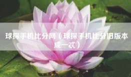 球探手机比分网（球探手机比分旧版本成一忒）