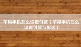 苹果手机怎么设置付款（苹果手机怎么设置付款与配送）