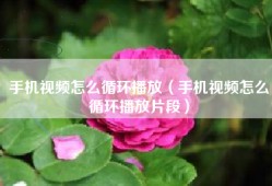 手机视频怎么循环播放（手机视频怎么循环播放片段）