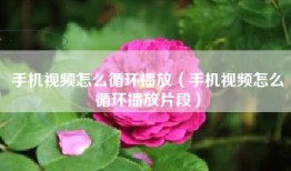 手机视频怎么循环播放（手机视频怎么循环播放片段）