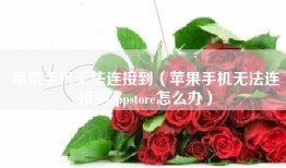 苹果手机无法连接到（苹果手机无法连接到appstore怎么办）