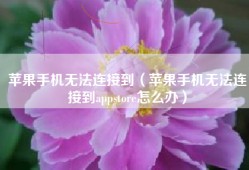 苹果手机无法连接到（苹果手机无法连接到appstore怎么办）