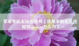 苹果手机无法连接到（苹果手机无法连接到appstore怎么办）
