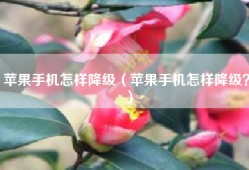 苹果手机怎样降级（苹果手机怎样降级？）