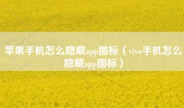 苹果手机怎么隐藏app图标（vivo手机怎么隐藏app图标）