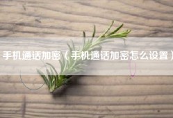 手机通话加密（手机通话加密怎么设置）