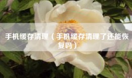 手机缓存清理（手机缓存清理了还能恢复吗）