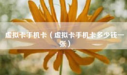 虚拟卡手机卡（虚拟卡手机卡多少钱一张）