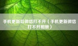 手机更新后微信打不开（手机更新微信打不开相册）