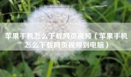 苹果手机怎么下载网页视频（苹果手机怎么下载网页视频到电脑）