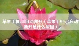 苹果手机wifi自动断开（苹果手机wifi自动断开是什么原因）