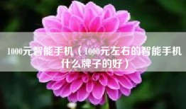 1000元智能手机（1000元左右的智能手机什么牌子的好）