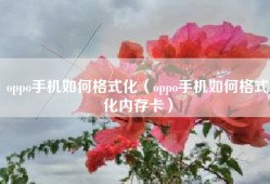 oppo手机如何格式化（oppo手机如何格式化内存卡）