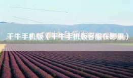 千牛手机版（千牛手机版客服在哪里）