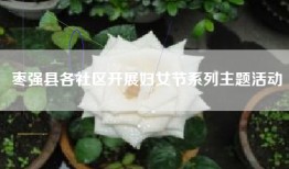 枣强县各社区开展妇女节系列主题活动